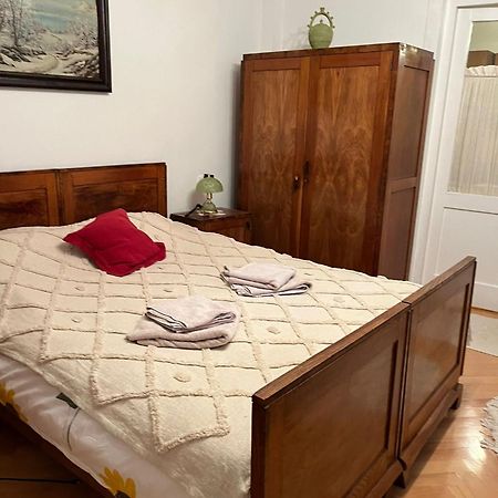 Emese Central Vintage Apartment Târgu-Mureş Εξωτερικό φωτογραφία