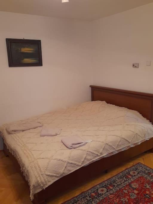Emese Central Vintage Apartment Târgu-Mureş Εξωτερικό φωτογραφία