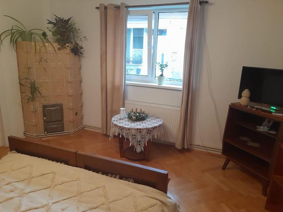 Emese Central Vintage Apartment Târgu-Mureş Εξωτερικό φωτογραφία