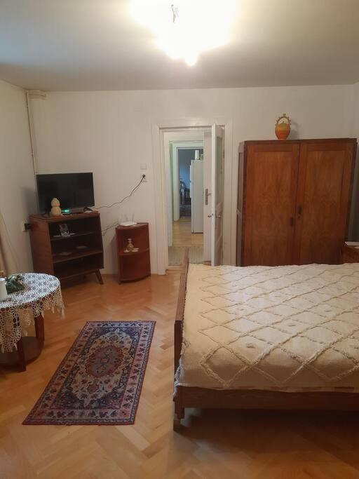 Emese Central Vintage Apartment Târgu-Mureş Εξωτερικό φωτογραφία