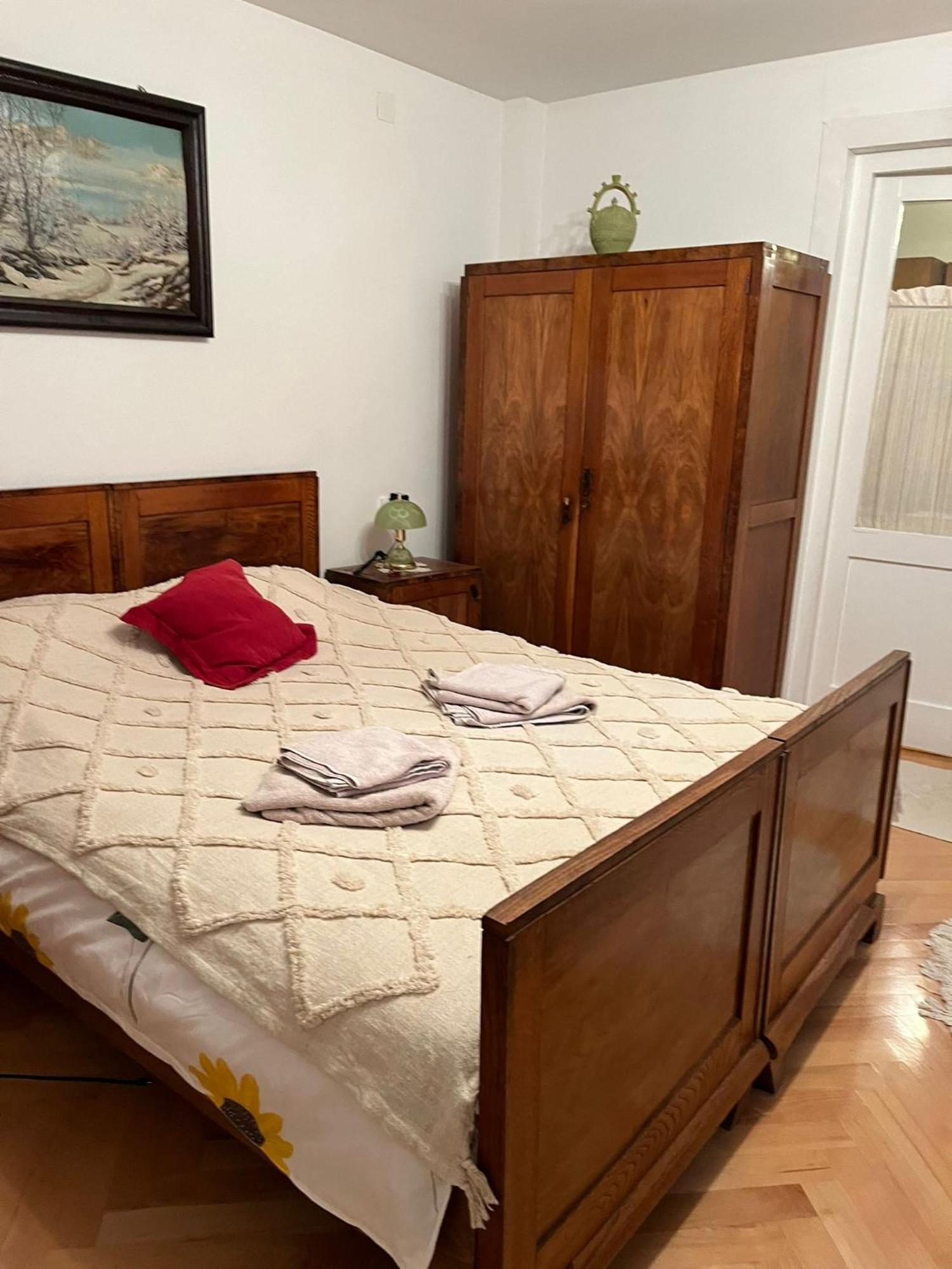 Emese Central Vintage Apartment Târgu-Mureş Εξωτερικό φωτογραφία