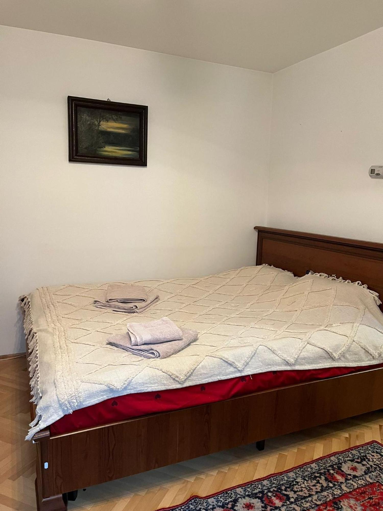 Emese Central Vintage Apartment Târgu-Mureş Εξωτερικό φωτογραφία