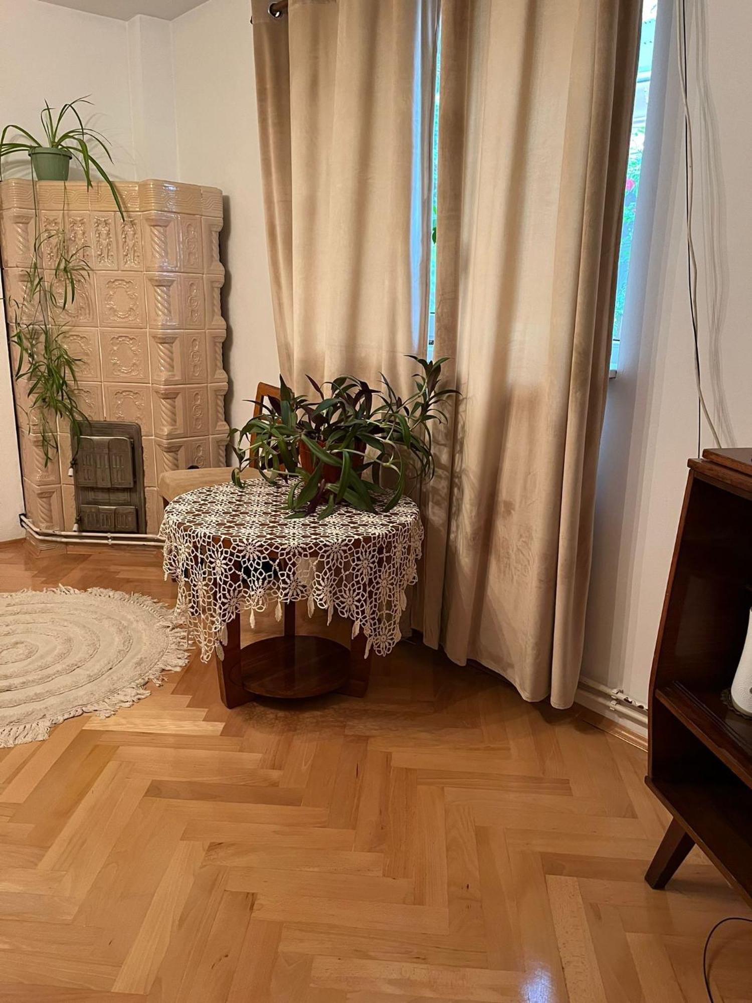 Emese Central Vintage Apartment Târgu-Mureş Εξωτερικό φωτογραφία